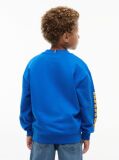 Blue Varsity Logo Sweatshirt  Boys