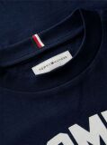 Blue Logo Jersey Crew Neck T-Shirt  Boys