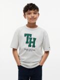 Γκρι Βαμβακερό T-Shirt Με Varsity Λογότυπο  Αγόρια