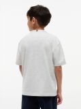Γκρι Βαμβακερό T-Shirt Με Varsity Λογότυπο  Αγόρια