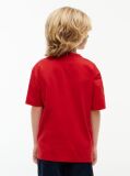 Red Varsity Logo Jersey T-Shirt  Boys