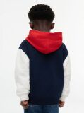 Blue Colour-Blocked Logo Terry Hoody  Boys