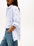 Multi Regular Fit Stripe Star Flag Embroidery Shirt  Girls