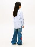 Multi Regular Fit Stripe Star Flag Embroidery Shirt  Girls