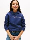 Blue Essential Logo Organic Cotton Hoody  Kids Unisex