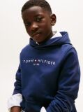 Blue Essential Logo Organic Cotton Hoody  Kids Unisex