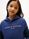 Blue Essential Logo Organic Cotton Hoody  Kids Unisex