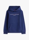 Blue Essential Logo Organic Cotton Hoody  Kids Unisex