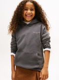 Γκρι Fleece Hoody Με Λογότυπο Σε Κανονική Γραμμή  Παιδί Unisex