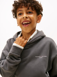 Γκρι Fleece Hoody Με Λογότυπο Σε Κανονική Γραμμή  Παιδί Unisex