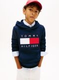 Blue Heritage Flag Badge Terry Hoody  Kids Unisex