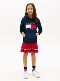 Blue Heritage Flag Badge Terry Hoody  Kids Unisex
