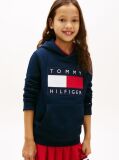Blue Heritage Flag Badge Terry Hoody  Kids Unisex