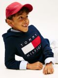 Blue Heritage Flag Badge Terry Hoody  Kids Unisex