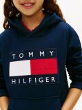 Blue Heritage Flag Badge Terry Hoody  Kids Unisex