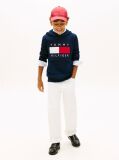 Blue Heritage Flag Badge Terry Hoody  Kids Unisex