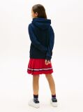 Blue Heritage Flag Badge Terry Hoody  Kids Unisex