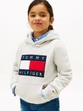 Grey Heritage Flag Badge Terry Hoody  Kids Unisex
