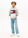 Grey Heritage Flag Badge Terry Hoody  Kids Unisex