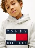 Grey Heritage Flag Badge Terry Hoody  Kids Unisex