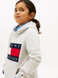 Grey Heritage Flag Badge Terry Hoody  Kids Unisex