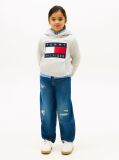 Grey Heritage Flag Badge Terry Hoody  Kids Unisex
