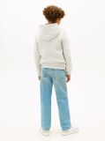 Grey Heritage Flag Badge Terry Hoody  Kids Unisex