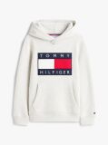 Grey Heritage Flag Badge Terry Hoody  Kids Unisex