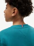 Blue Heritage Flag Logo Crew Neck Jumper  Kids Unisex