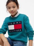 Blue Heritage Flag Logo Crew Neck Jumper  Kids Unisex