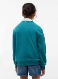 Blue Heritage Flag Logo Crew Neck Jumper  Kids Unisex