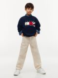 Blue Peanuts® Flag Graphic Embroidery Jumper  Kids Unisex
