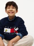 Blue Peanuts® Flag Graphic Embroidery Jumper  Kids Unisex