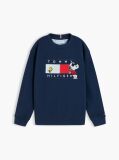 Blue Peanuts® Flag Graphic Embroidery Jumper  Kids Unisex