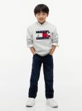 Grey Peanuts® Flag Graphic Embroidery Jumper  Kids Unisex