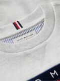 Grey Peanuts® Flag Graphic Embroidery Jumper  Kids Unisex