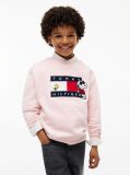 Pink Peanuts® Flag Graphic Embroidery Jumper  Kids Unisex