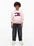 Pink Peanuts® Flag Graphic Embroidery Jumper  Kids Unisex