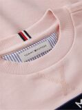 Pink Peanuts® Flag Graphic Embroidery Jumper  Kids Unisex
