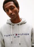 Γκρι Fleece Hoody Με Λογότυπο  Άνδρες