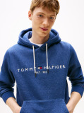 Blue Flex Logo Hoody  Men