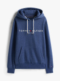 Blue Flex Logo Hoody  Men