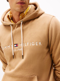 Brown Flex Logo Hoody  Men