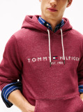 Red Flex Logo Hoody  Men