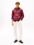Red Flex Logo Hoody  Men