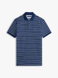 Multi 1985 Organic Cotton Regular Fit Polo  Men