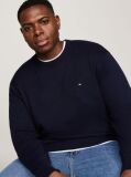 Blue Plus Heathered Knit Regular Fit Jumper  Men