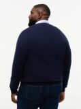 Blue Plus Heathered Knit Regular Fit Jumper  Men