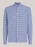 Μπλε Gingham Oxford Πουκάμισο Σε κανονική Γραμμή  Άνδρες