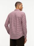 Multi Gingham Oxford Πουκάμισο Σε κανονική Γραμμή  Άνδρες